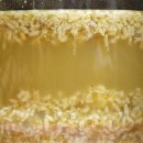 천연발효공방 이미지