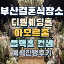 조방로 | 부산결혼식장소 디엘웨딩홀 아모르홀 블랙홀웨딩홀 장단점 예식진행후기