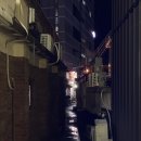 명물삼합 네이버블로그
