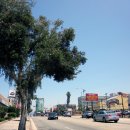 (주)코리아세븐 연희로데오점 | 메트로 윌셔웨스턴(Wilshire/Western)역, 코리아타운, 로데오갤러리아, 북창동순두부, 맥도날드...