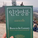 명품 | 인간명품되는법 가을 도서 추천 인간명품 후기