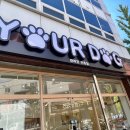 유얼도그 이미지