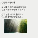 내원야영장 이미지