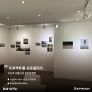프로젝트룸신포갤러리 네이버블로그