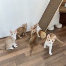 현미민박 이미지