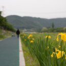 체육공원로 이미지