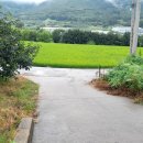 남전농장 이미지