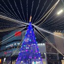 비프광장 먹거리 상한 유부주머니 국제시장 꽃분이네 영업시간
