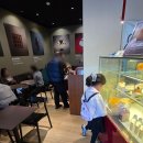 동부산 카페 당구장 | 부산 기장 롯데아울렛 카페 일리카페 동부산점 후기