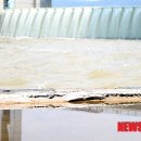 진상제방 이미지