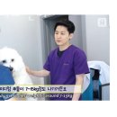 원흥동물의료센터 | 고양 도내동 동물병원 원흥동물의료센터 진료시간 접근성 이용후기