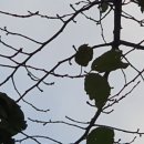 용신42 이미지