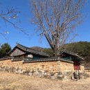 효충사孝忠祠 Daum카페