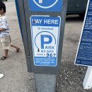 프리마모텔 | 미국 플로리다 여행 4. 키웨스트 Key West