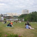 오창센트럴파크공인중개사사무소 | 오창 상가 임대, 호수공원 대로변 1층 상가 입지 분석