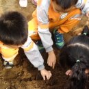 도림농장 이미지