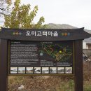 퇴계로(삼산동) 네이버블로그