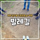 빌레하우스 | 제주 곶자왈 도립공원 빌레길 코스 (feat. 야생 노루 만난 날)