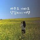 제주도 가파도 당일치기 후기｜5월 청보리 명소, 유채꽃, 배시간 정보