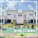 여기서 키즈 풀빌라 | 마카롱 키즈 풀빌라 | 아이랑 하루종일 놀기 좋았던 경주 키즈 풀빌라 후기