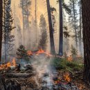 주식회사 조그만 이미지