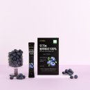 블루베리 - 단양군 | 블루베리