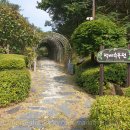 백야리산림욕장 | [충북 음성/백야리 자연휴양림, 산림욕장]백야자연휴양림