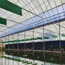 시동유정낚시터 이미지