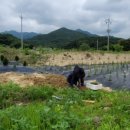 수선농장 이미지