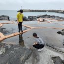 욜로올레제주 이미지