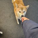 워니시티 이미지