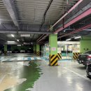 양지-3367 | 광주 샤브올데이 진월점 가격 주차 샐러드바 할인