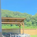 구공스테이사색