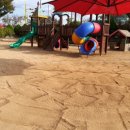 신녕초등학교병설유치원 이미지