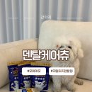 건 덴탈 | 기호성 좋은 저알러지 덴탈껌 “오아이오 덴탈케어츄” 후기