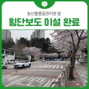농산물품질관리원 앞 | 농산물품질관리원 앞 횡단보도 이설 완료