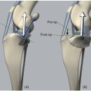 분당데이지동물병원 이미지