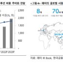 레이솔루션 이미지