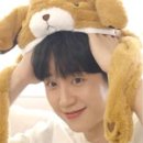 곰돌이 - 강서구 강서로29길 52 | 곰돌이