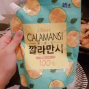 팬션 패트로누스 | 강원도영월펜션 패트로누스 독채 자연 뷰 가성비 탑