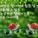 귀한 이미지
