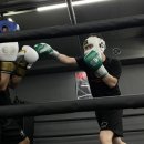 울산권투체육관 이미지