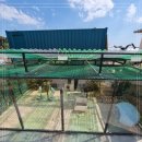 태안키즈풀빌라아이랜드 이미지