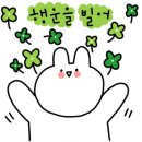 바디팰리스짐 이미지