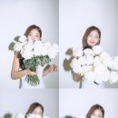 영포토 이미지
