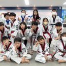 MOA세계로태권도 이미지