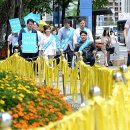 서울수의원 이미지