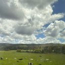 하나래농장 이미지