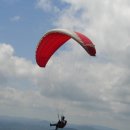 부림체육관 이미지