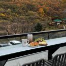 부산 기장 대형카페 유정1995 베이커리 맛집